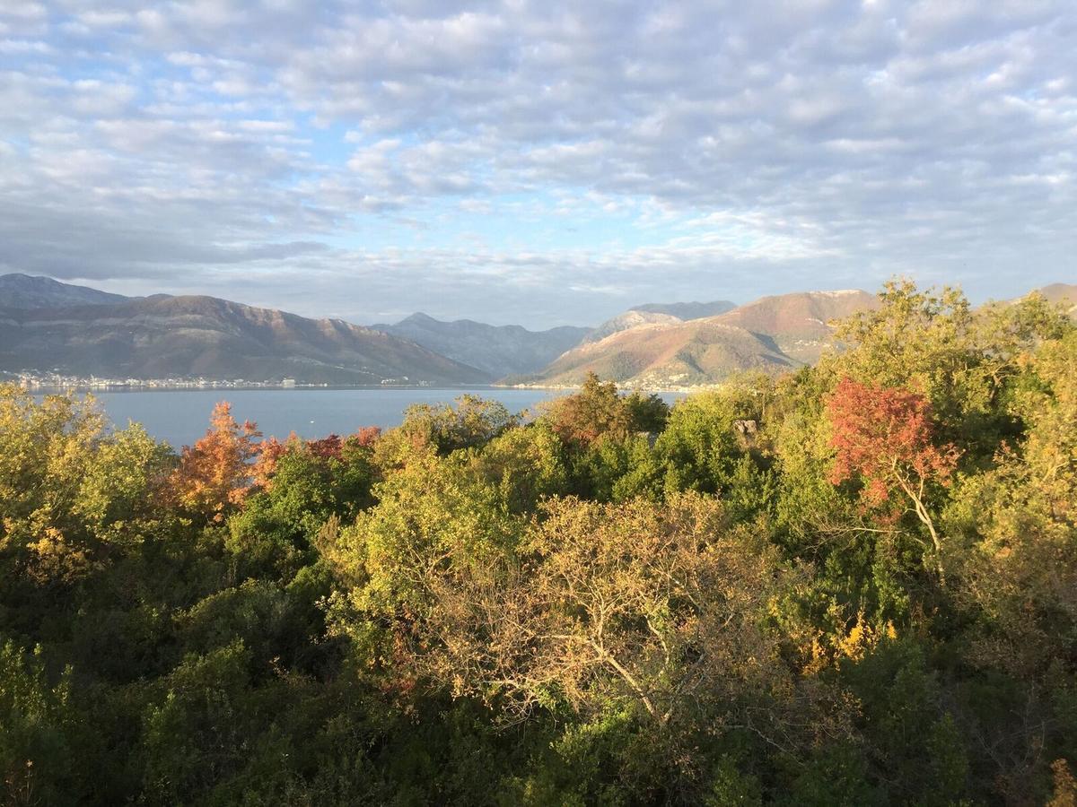 Willa Patrick House Tivat Zewnętrze zdjęcie